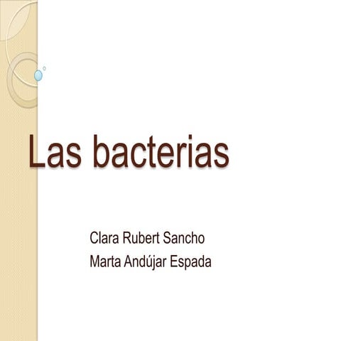 Bacterias