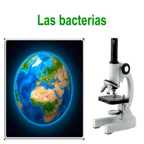 Profesión Químico (Las bacterias)