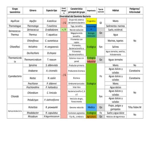 Dominio bacteria, dominio archea.
