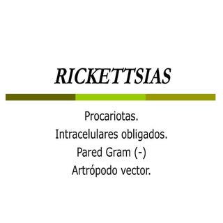 Bacterias Rickettsias