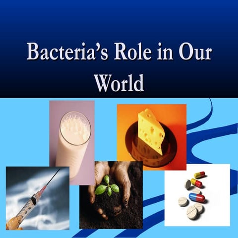 Bacteria's role in our world