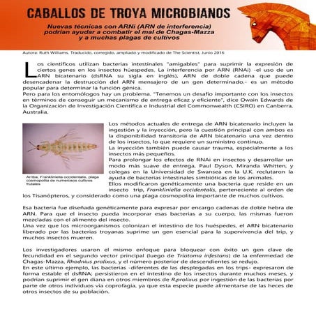 Bacterias troyanas
