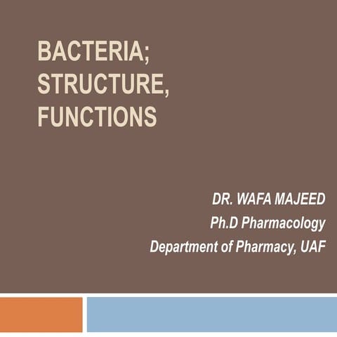 Bacteria;  structure, functions.pptx