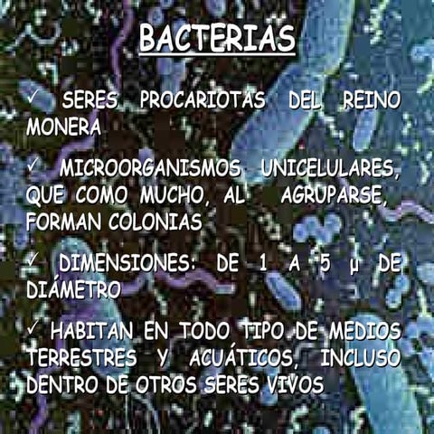 Bacterias y Virus