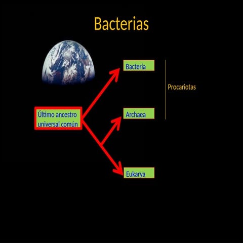 BACTERIAS Y VIRUS PRESENTACIÓN DE POWER POINT