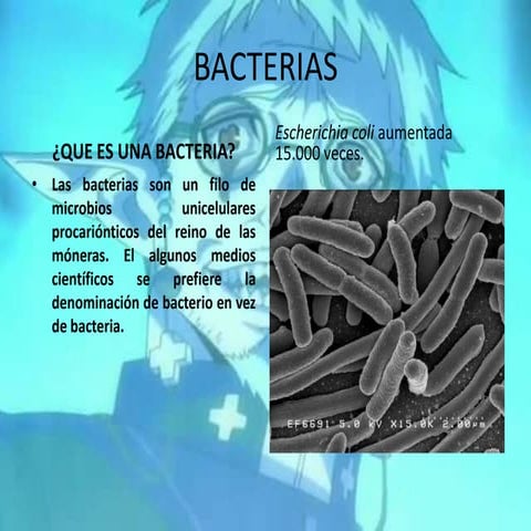 Bacterias y virus.ppt