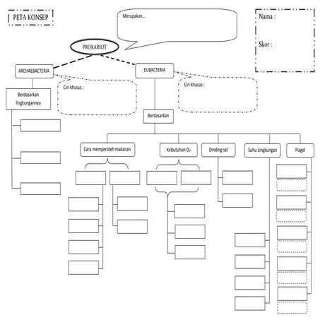 Bacteria Worksheet.pdf