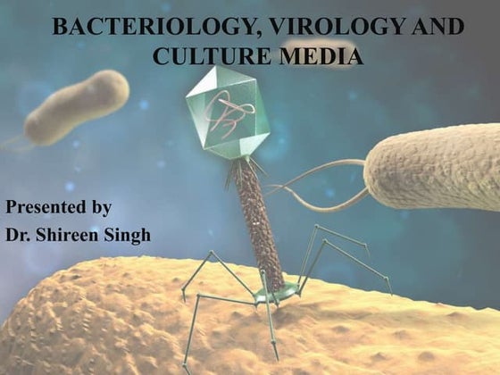 4_Microscop for medical laboratory science.ppt