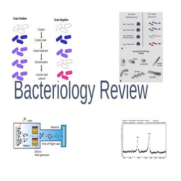 Bacteriology, classification and morphology.pptx