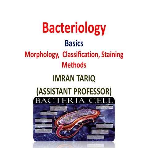 bacteriology (1).pptx