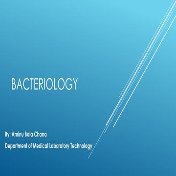 Comprehensive Overview of Key Bacterial Pathogens in Medical ...