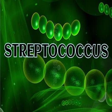 Bacteriology streptococcus pathogens