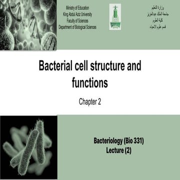 Bacteriology lecturer 2 .pdf