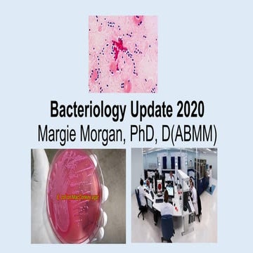 Bacteriology Update 2021 (Part 1.)