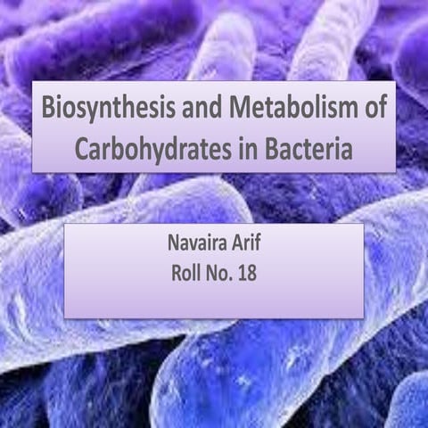 Biosynthesis and Metabolism of Carbohydrates in Bacteria