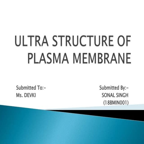 Ultra Structure of Plasma Membrane