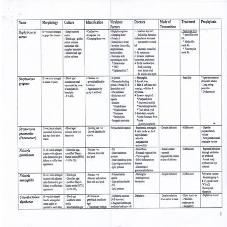 Microbiology flowchart.pdf