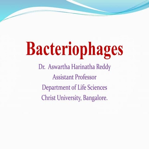 Bacteriophage and replication