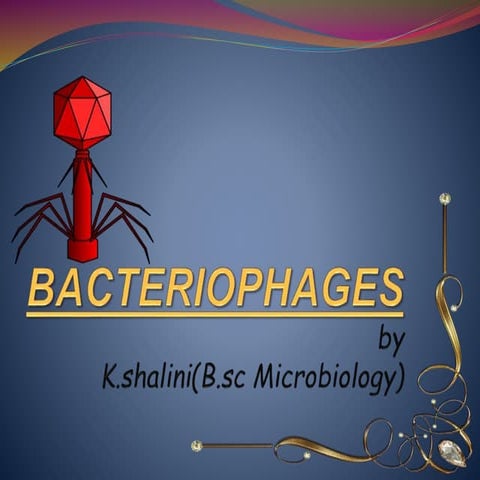 Bacteriophage 