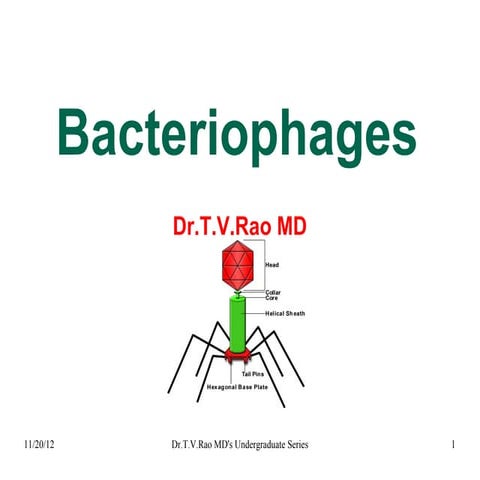 bacteriophagenet-121119195318-phpapp01.pdf