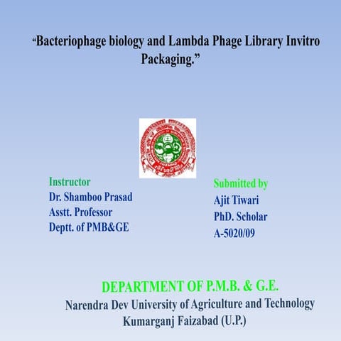 Bacteriophage biology and Lambda Phage Library Invitro Packaging