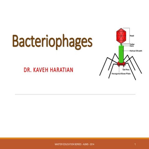 Bacteriophages 