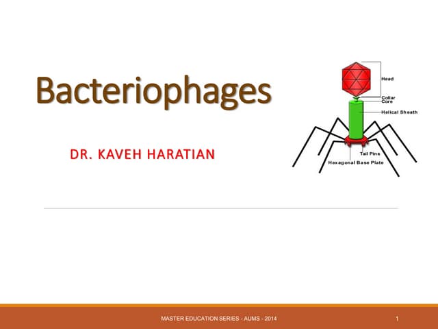 Bacteriophages 