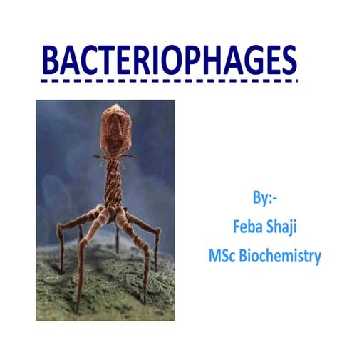 Bacteriophages  