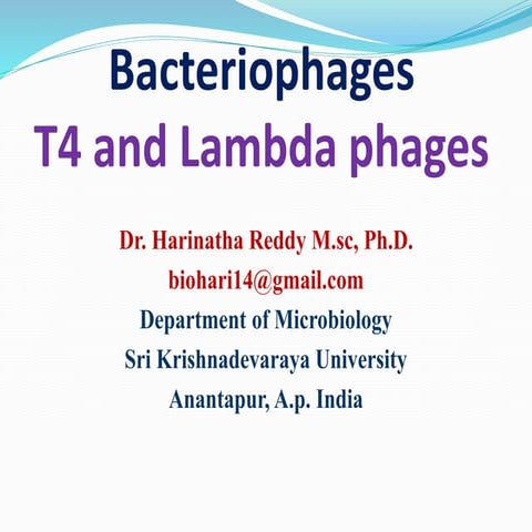 Bacteriophage T4 and Bacteriophage lambda 