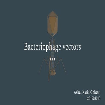 Bacteriophage vector