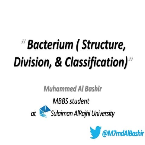 Bacteria visual data 3