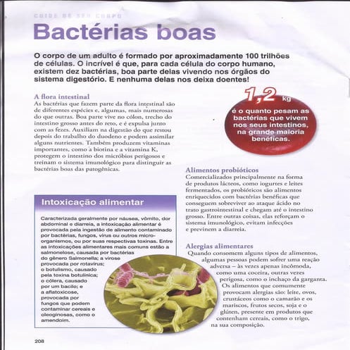 Bactérias boas 