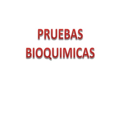 PRUEBAS BIOQUIMICAS