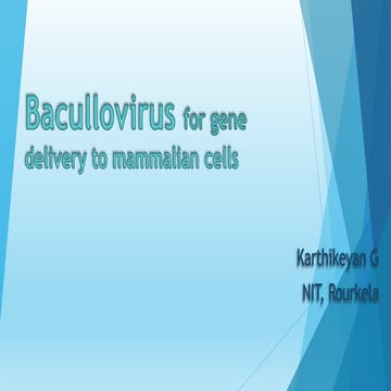 Baculoviral vector Applications