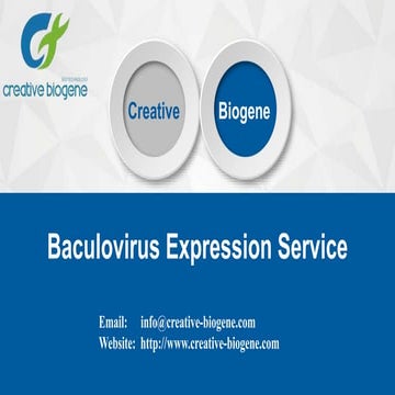 Baculovirus expression service