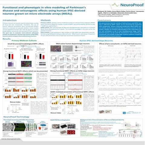 Phenotypic screening using MEAs
