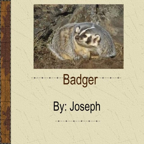 Badger by Joseph