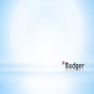 Badger