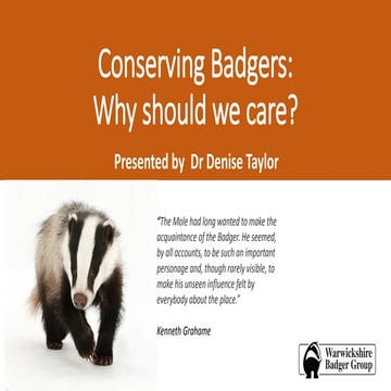 Conserving Badgers: Why should we care?