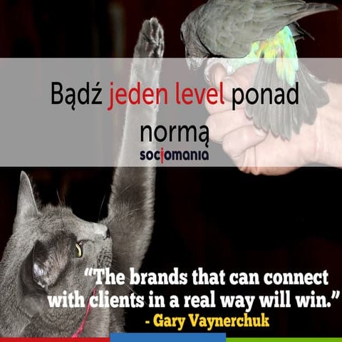 Bądż jeden level ponad normą - o obsłudze klienta w social media