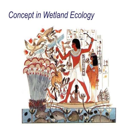 Bae 495r Wetland Ecology