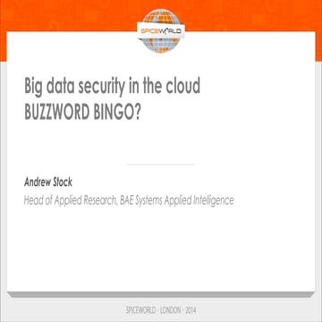 Big data security in the cloud: Buzzword Bingo!
