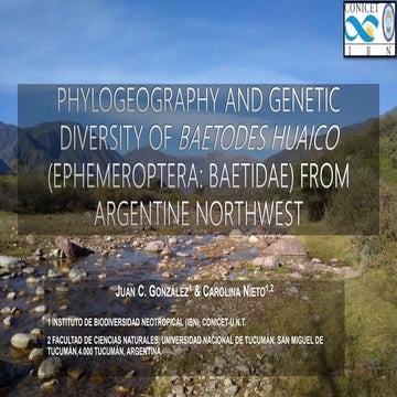 Phylogeography and genetic diversity of Baetodes huaico (EPHEMEROPTERA: BAETI...
