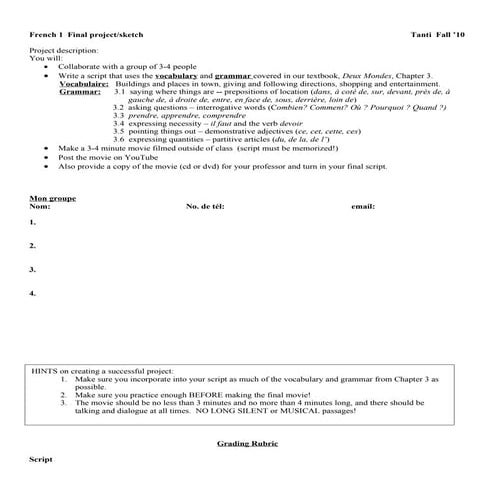 Video project rubric
