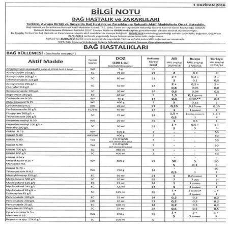 Bag bilgi notu 01.06.16 mrl degerı