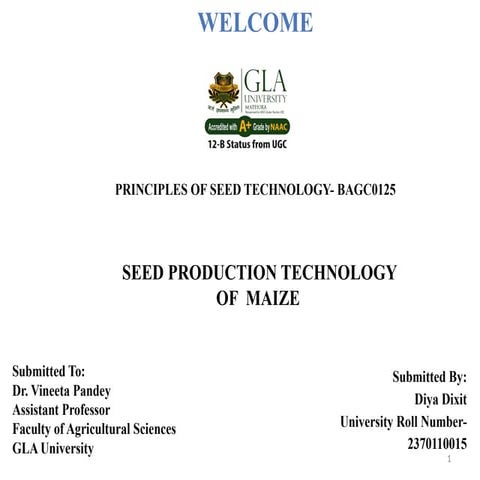 BAGC0125 SEED TECHNOLOGY M AIZE PPT.pptx