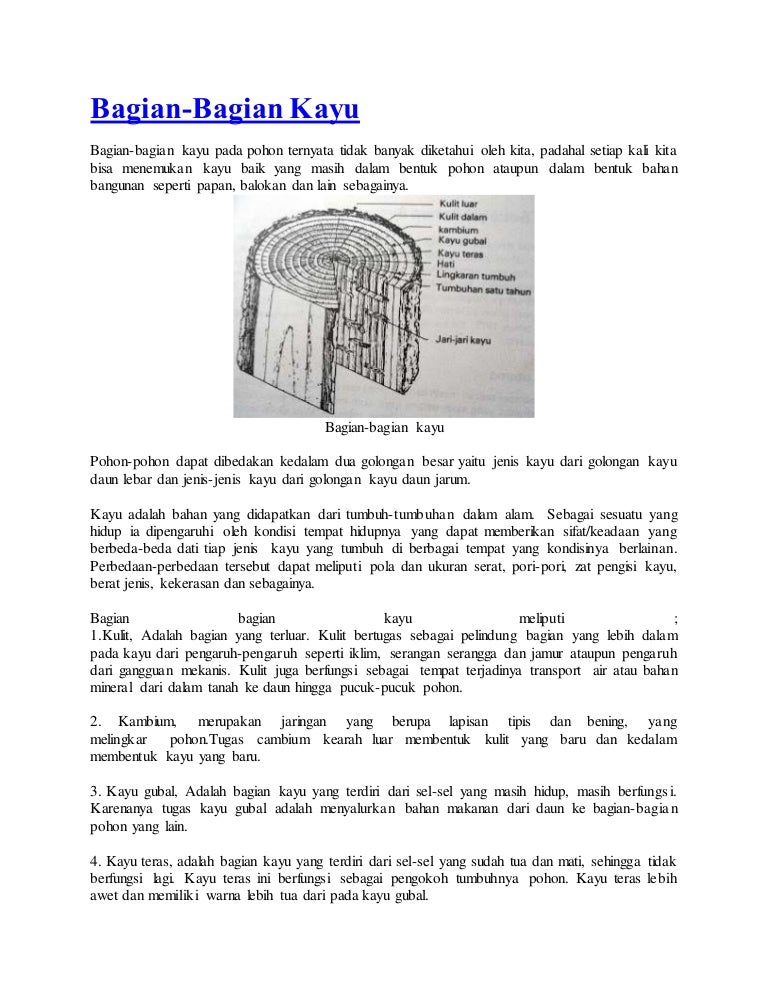 Bagian Bagian Kayu Bagian Bagian Kayu