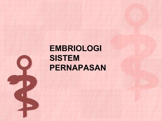 Bahan kuliah embriologi sistem pern...