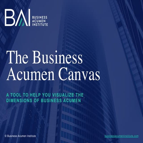 The Business Acumen Canvas