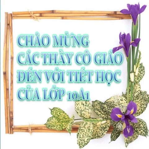 Bai 9 tin hoc va xa hoi